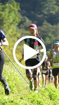 BIB:  <button type="button" onclick="openModal(26576755)" class="btn btn-primary btn-sm float-right" data-toggle="modal" data-target=".modal-high-quality">
                <i class="fa fa-download"></i> Download
                </button>